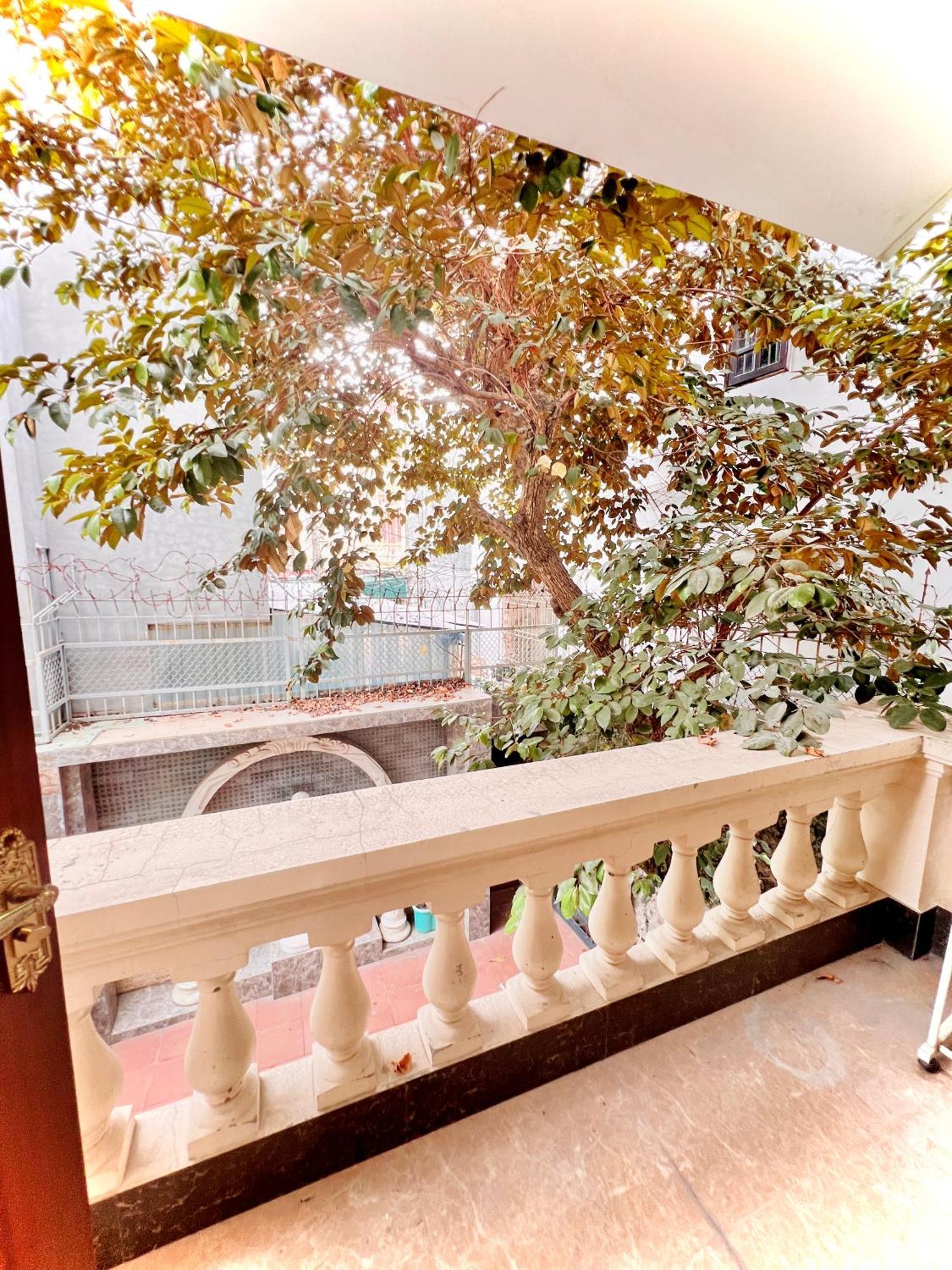 Cozy Cao Garden - Hai Phong