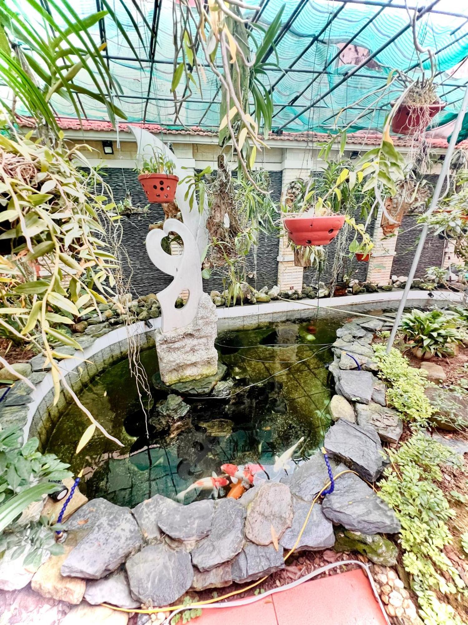 Cozy Cao Garden - Hai Phong