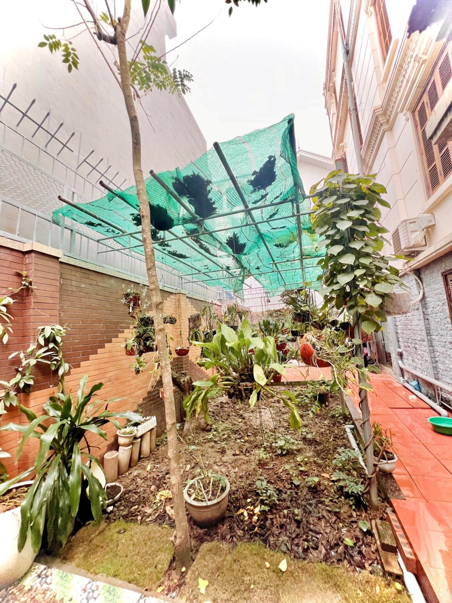 Cozy Cao Garden - * Hai Phong