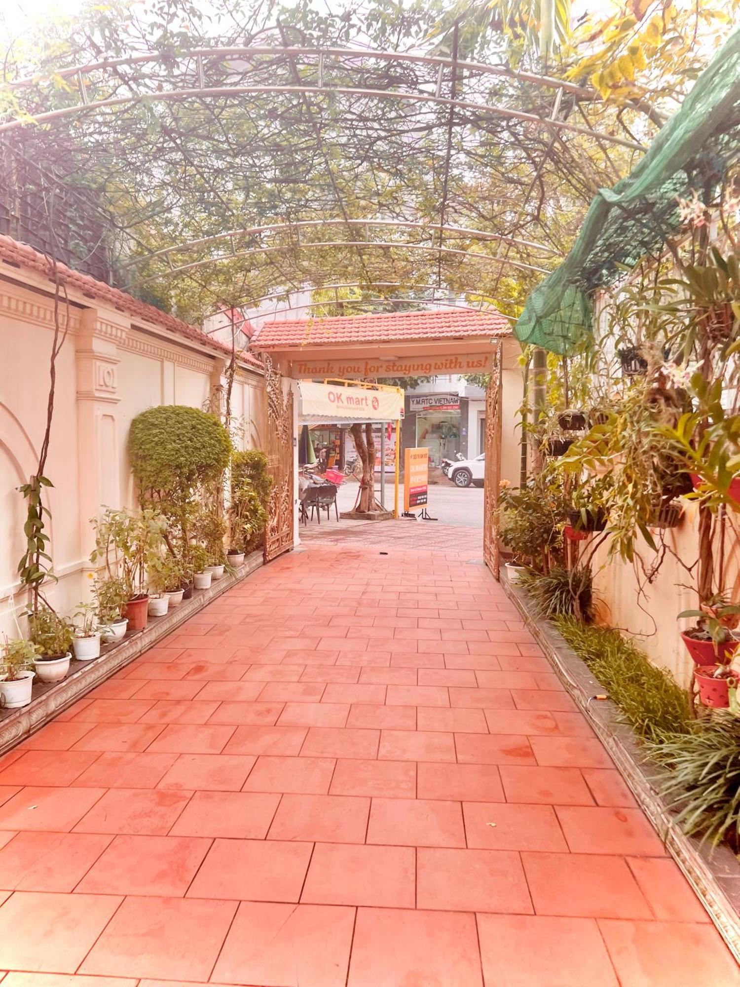 Cozy Cao Garden - Apartment
